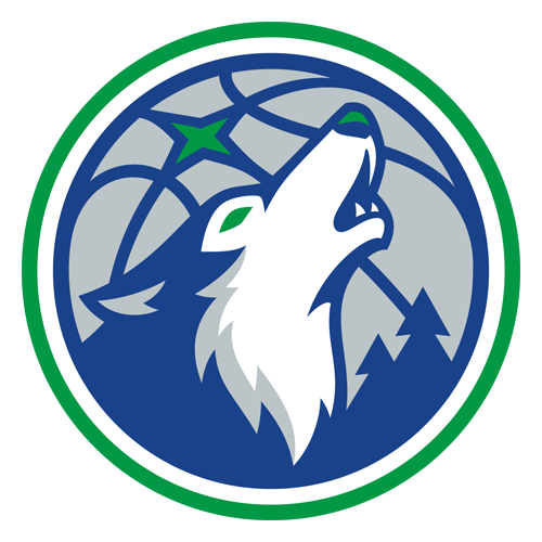 Minnesota Timberwolves hard hat