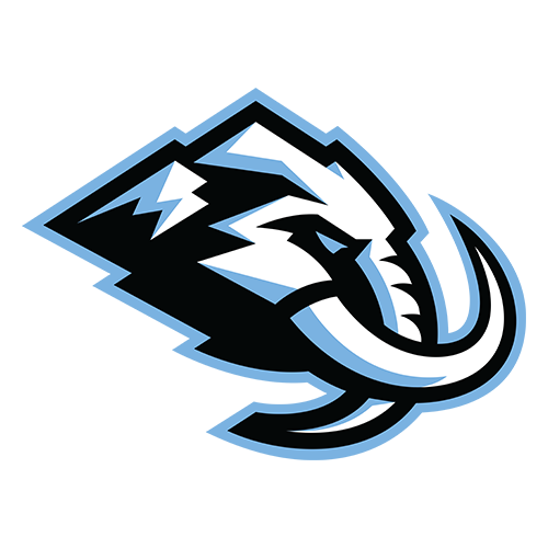 Utah Mammoth hard hat